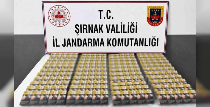 Şırnak'ta büyük kaçakçılık operasyonu: Milyonluk silah ve sigara ele geçirildi