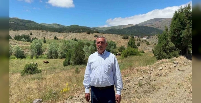 Sivas'ta doğal yaşam anları: Anne ayı ve yavrusu görüntülendi