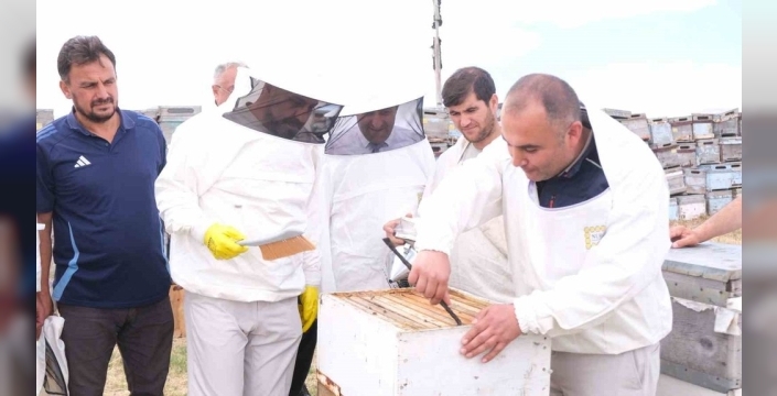 Sorgun balı için büyük gurur: 'En İyi Bal' yarışması Sorfest 2026'da!