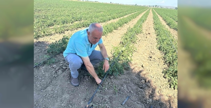 Sözleşmeli üretimde büyük kayıp: 20 milyon lira zarar