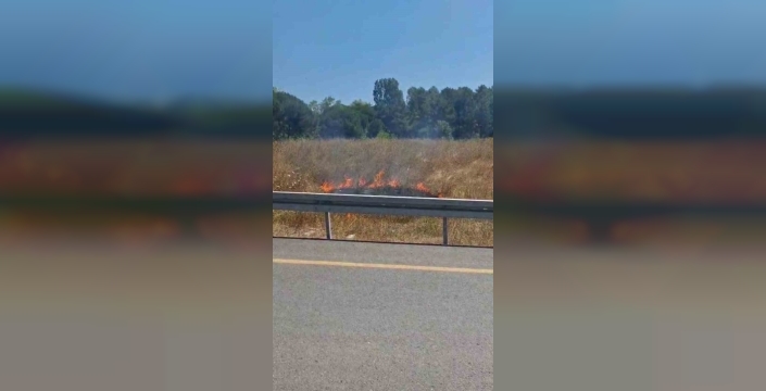 Sultangazi'de otluk alanda başlayan yangın ormana sıçradı