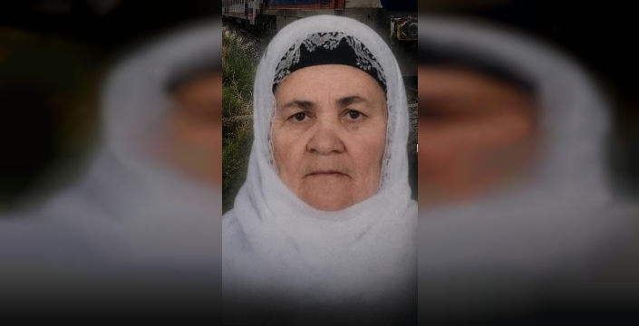 Tatvan'da tren faciası: 66 yaşındaki kadın hayatını kaybetti