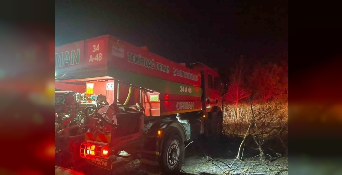 Tekirdağ'da orman yangını: 90 dekar alan zarar gördü