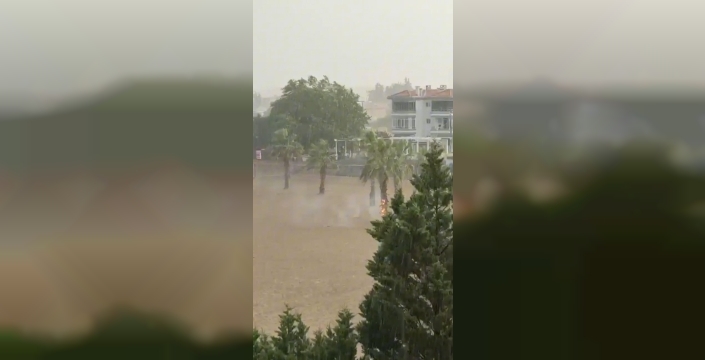 Tekirdağ'da palmiye ağacına yıldırım düştü, alevler yükseldi