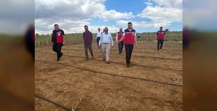 Tekirdağ köylerinde dolu felaketi: Üreticilerle hasar tespiti sürüyor