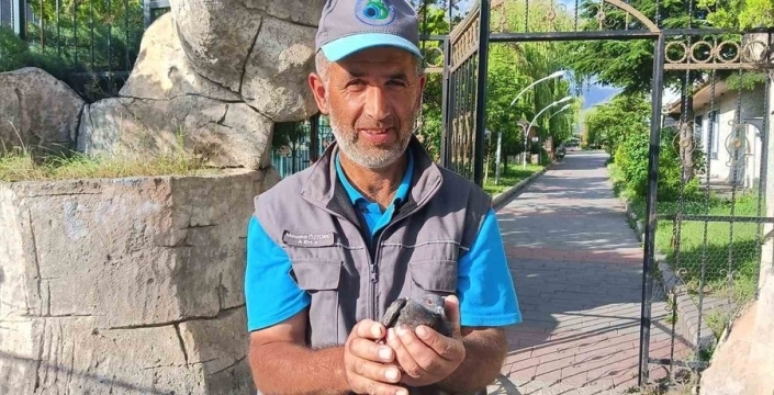 Temizlik görevlisinden vicdanlı kurtarış: Uçamayan güvercine hayat verdi