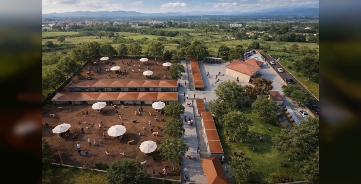 Terme'de hayvanlar için dev proje tamamlanmak üzere: Başkan Kul müjdeyi verdi!