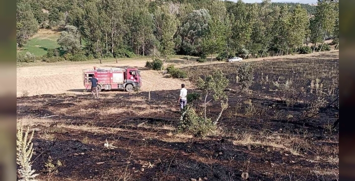 Tokat'ta alevler 15 dönümlük tarım arazisini yuttu: Yangının nedeni araştırılıyor