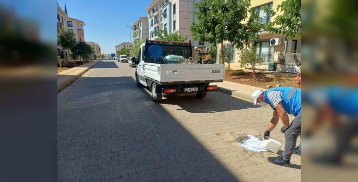 TOKİ konutlarında yaz alarmı: Larva mücadelesi hızlandı