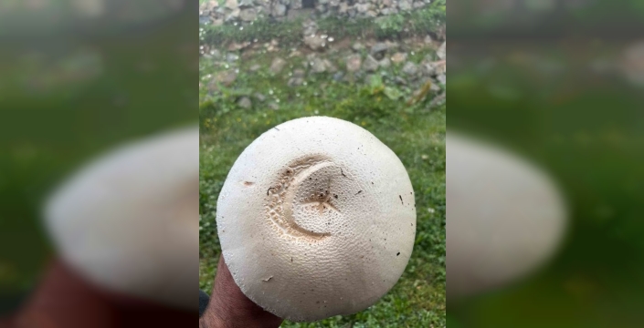 Trabzon'daki ay yıldızlı mantar, 15 Temmuz'un hatırasını canlandırdı