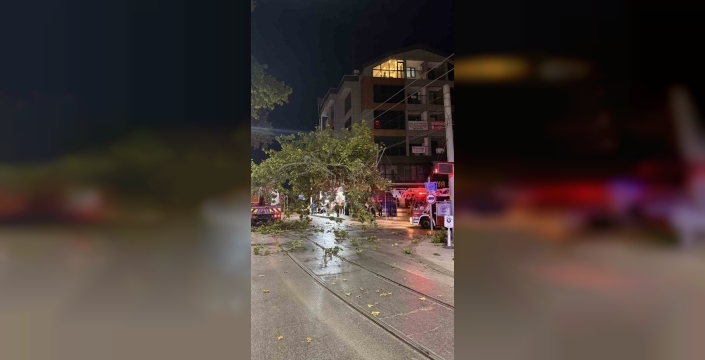 Tramvay hattına düşen dal, seferleri aksattı
