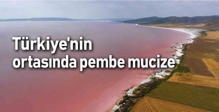 Türkiye'nin ortasında pembe mucize! Gören dönüp bir daha bakıyor