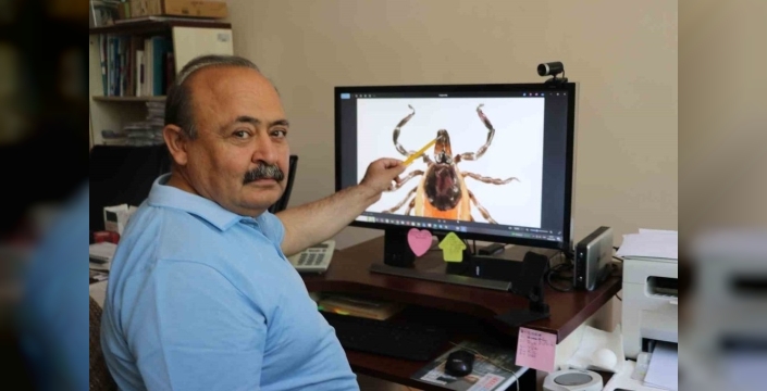 Uzmanlardan uyarı: Keneler gölgeyi seviyor, bir dişi kene 10 bin yumurta bırakabiliyor