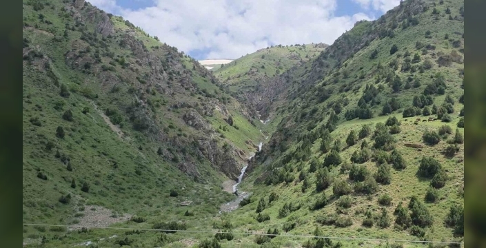 Vefat eden su kaynağı 20 yıl sonra yeniden canlandı: Çatak'ta mucizevi geri dönüş