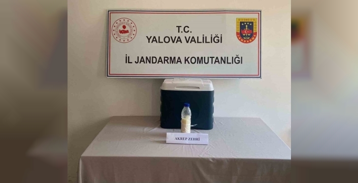 Yalova'da 5 milyon dolarlık akrep zehri operasyonu