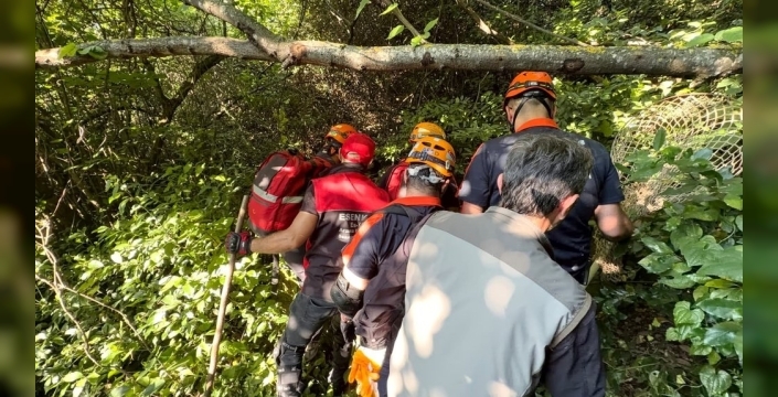 Yalova'da su kuyusunda mahsur kalan köpek kurtarıldı