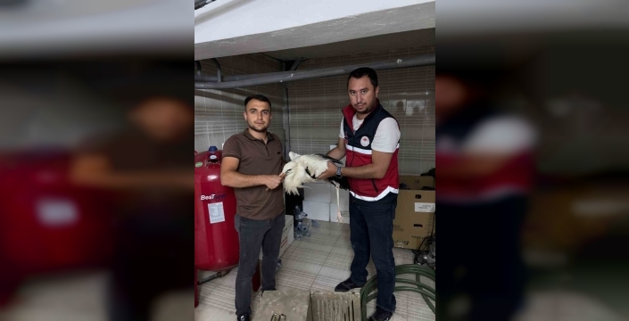 Yaralı leylek, uzman ekiplerin merhamet eliyle kurtarıldı