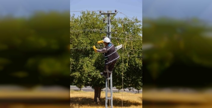 Yaz gelince elektrik şebekelerine 'dokunmayın' uyarısı: Can güvenliği riske giriyor