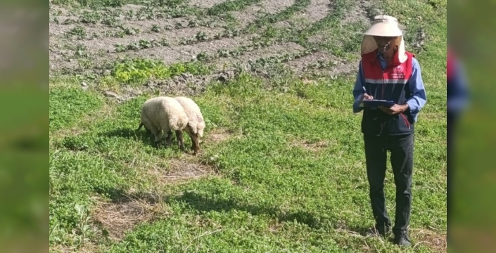 Yüksekova'da tarlalar mercek altında: Planlı tarım için saha denetimleri sürüyor